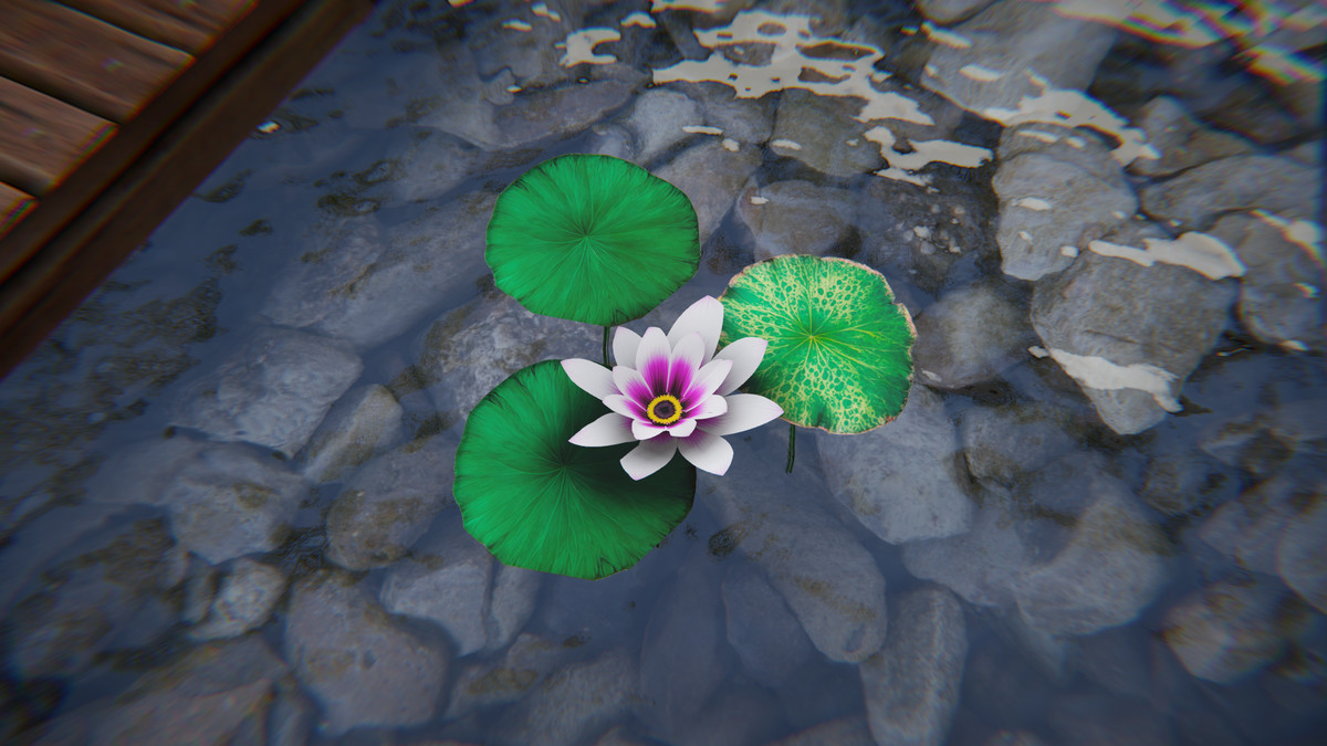 Zen Water Gallery