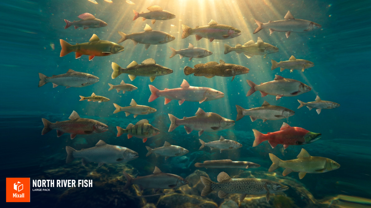 120 River fish - Full pack