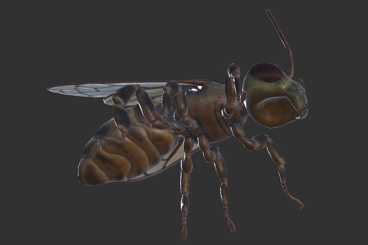 Bee