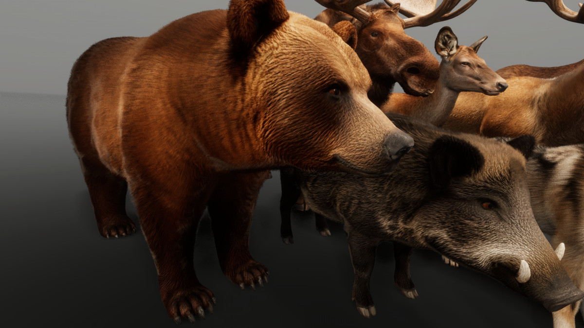 Ultrarealistic Forest Animals - Customizable Fur