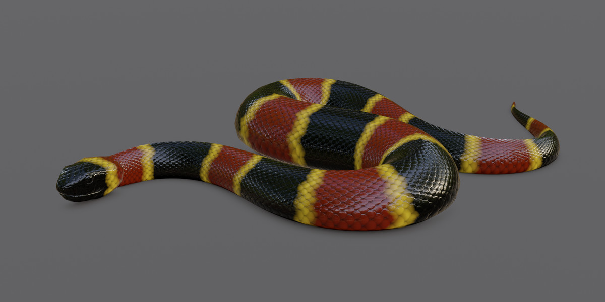 Animated snake pack