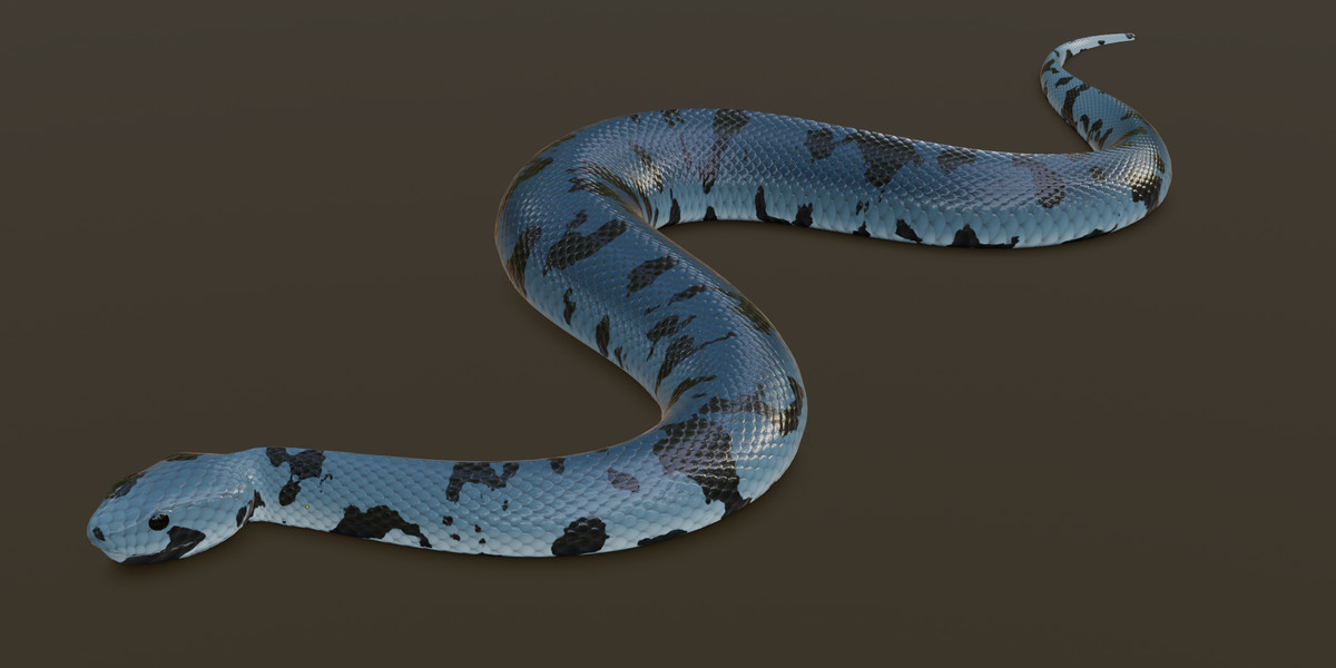 Animated snake pack