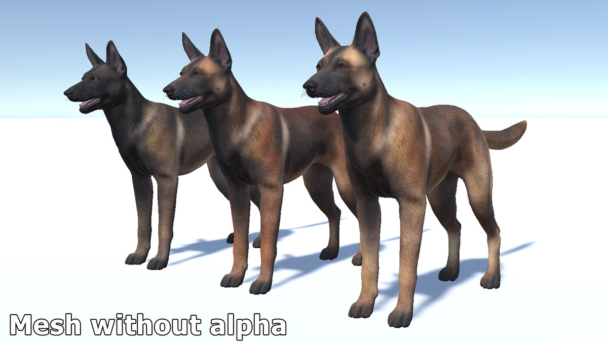 Dog - Belgian Malinois