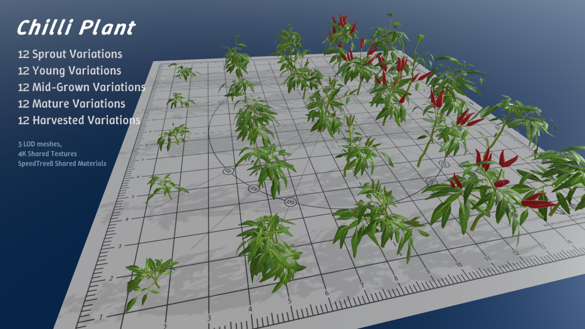 Harvest Garden
