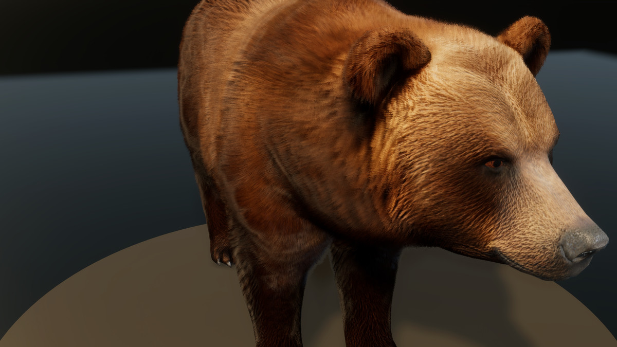 Forest Predators Collection - Realistic Animated Animals