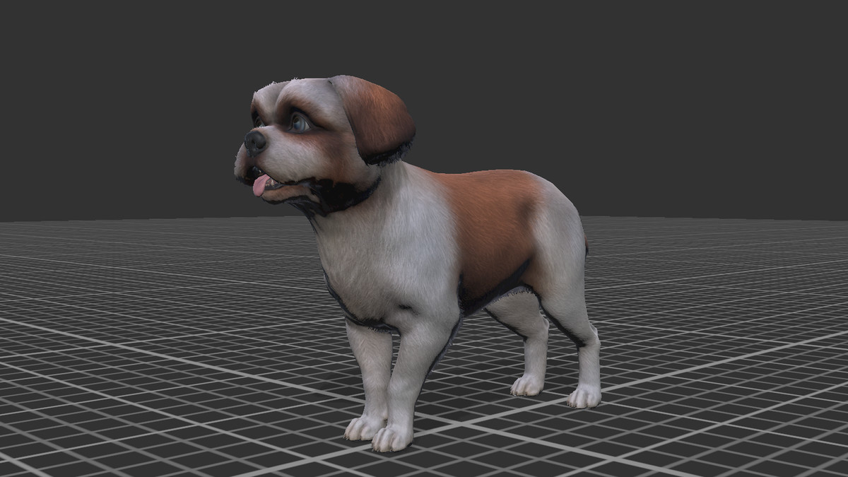 Dog - Shih Tzu