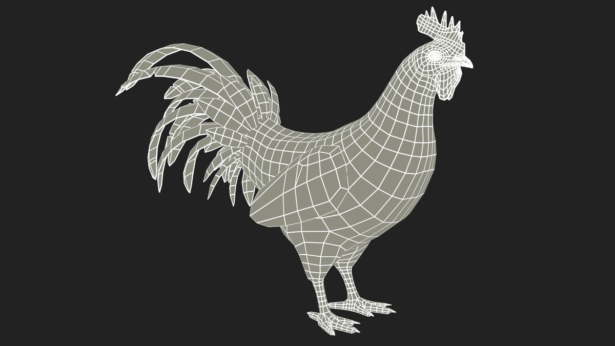 Rooster Animated