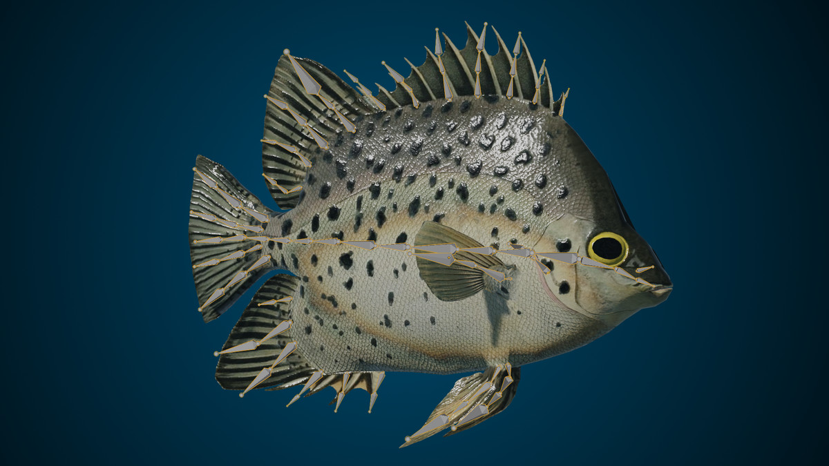 Animated Fish (Chaetodon)