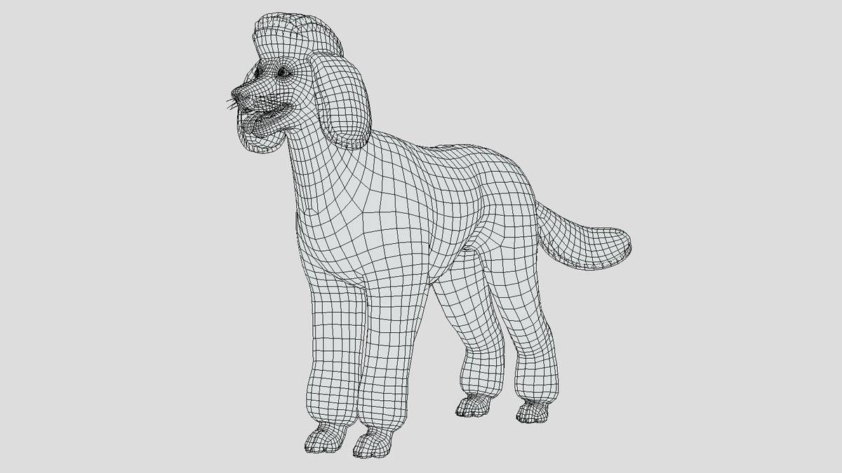 Dog - Poodle