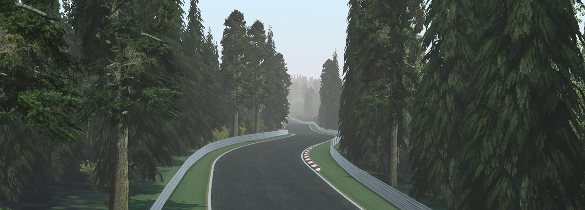 Realistic Race Track Schwarzwald