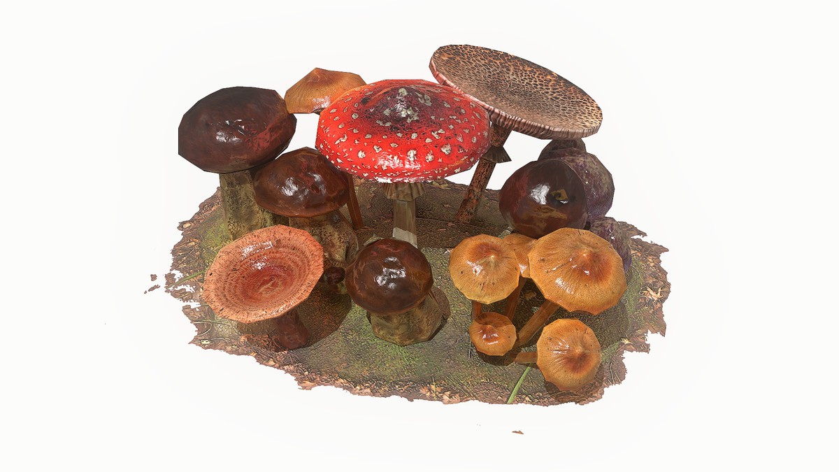 Mushrooms