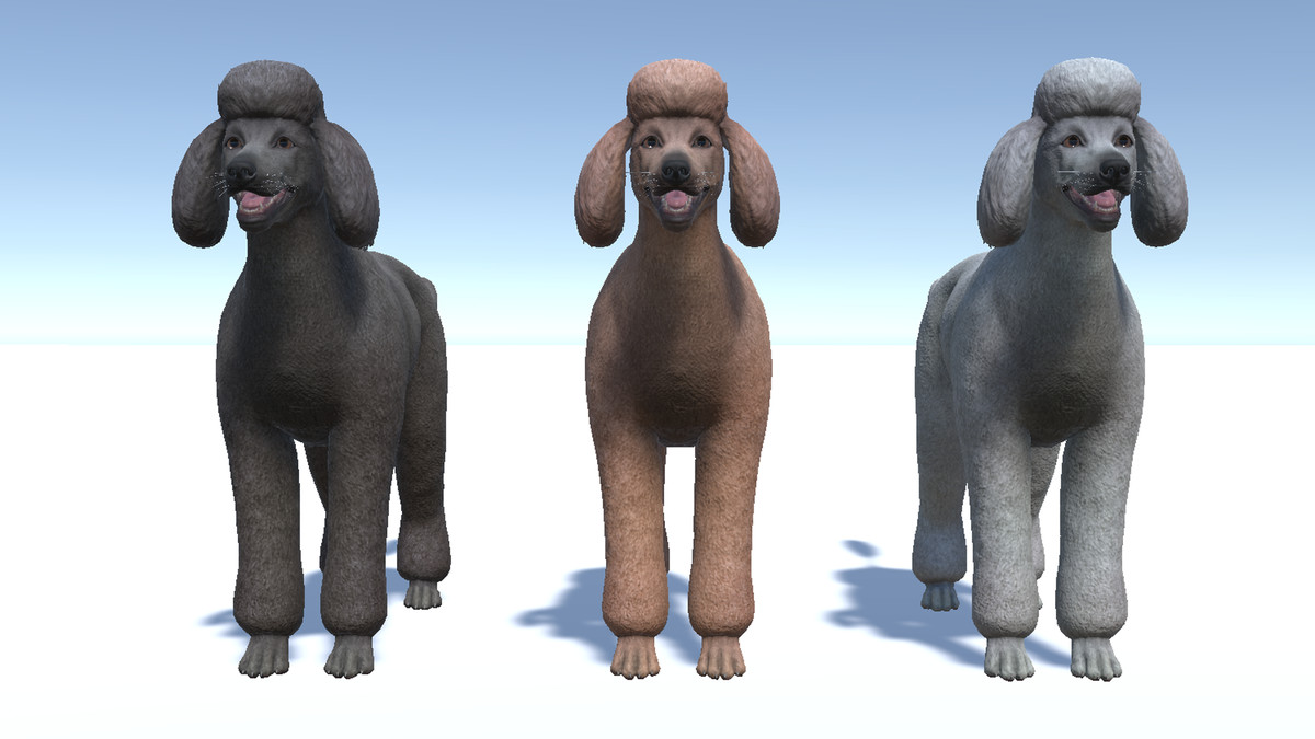 Dog - Poodle