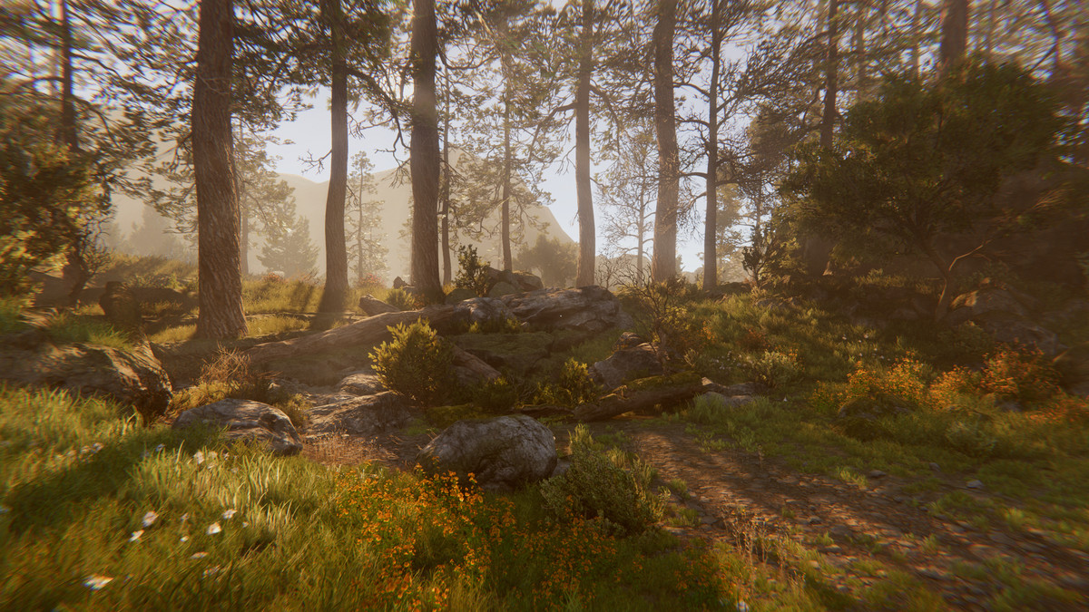 Tobyfredson - Nature Collection