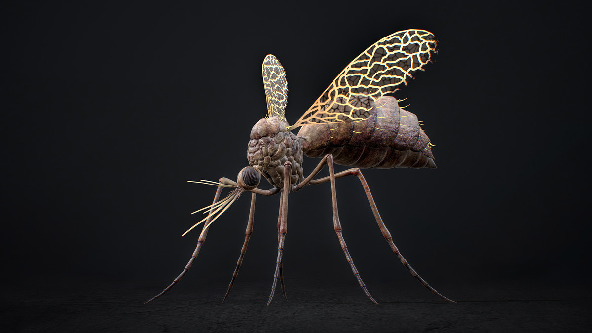 Mosquito Queen Boss - Fantasy Magic Mosquitoes