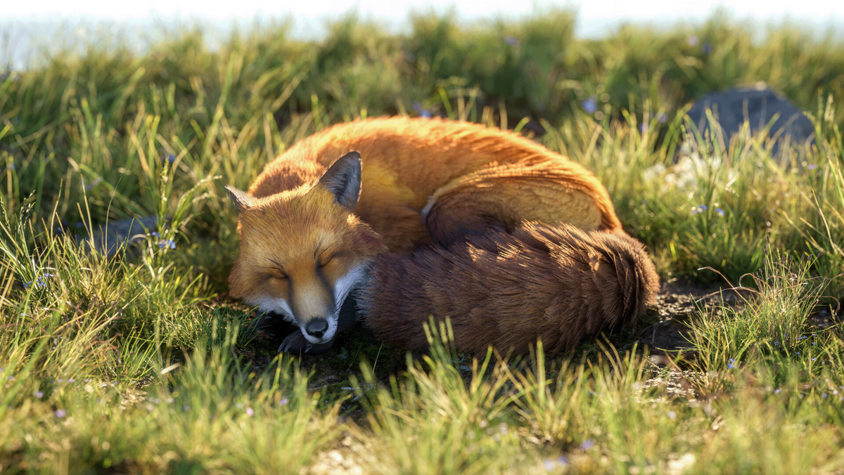 Realistic: Animal Forest Set