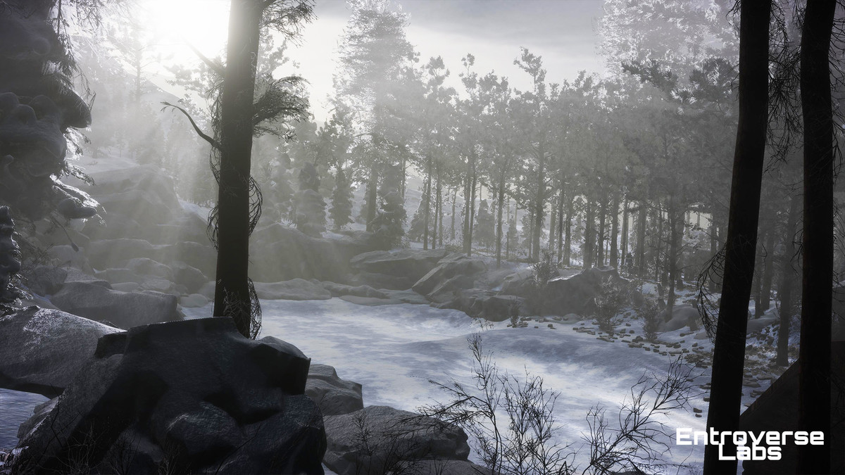 Taiga Biome Environment / Boreal Tundra Forest