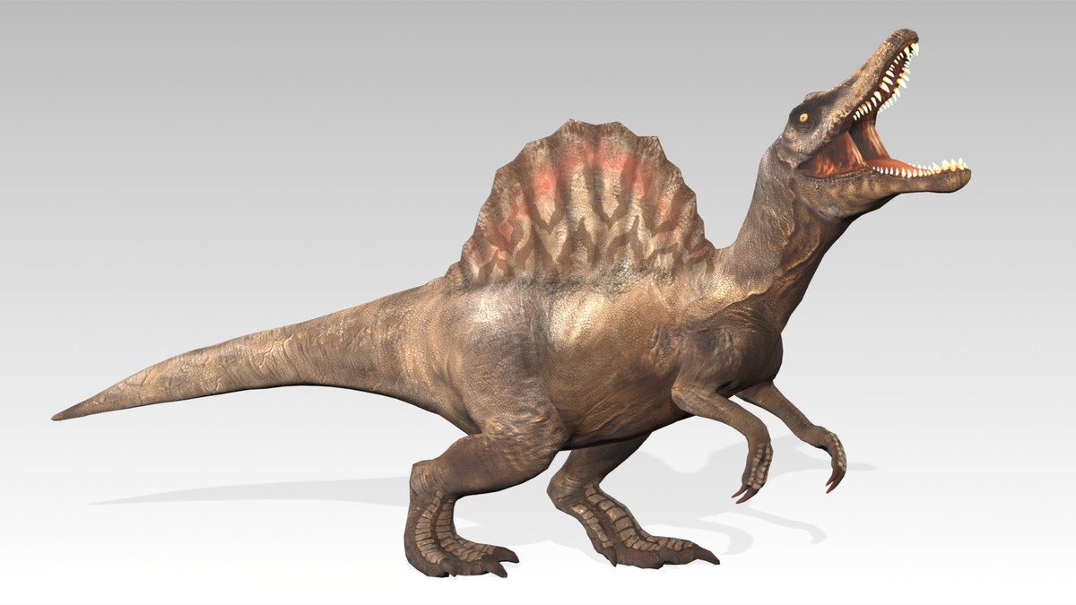 Spinosaurus Animated