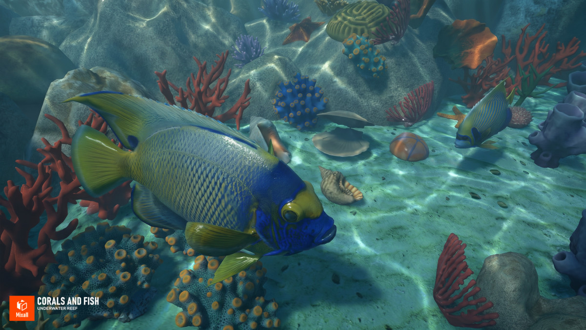 Corals and fish - underwater reef