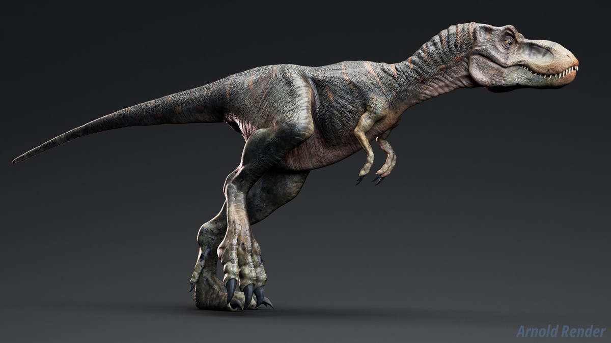 Dinosaur Trex Sue Family Bundle