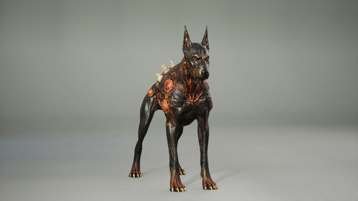 Dog mutant