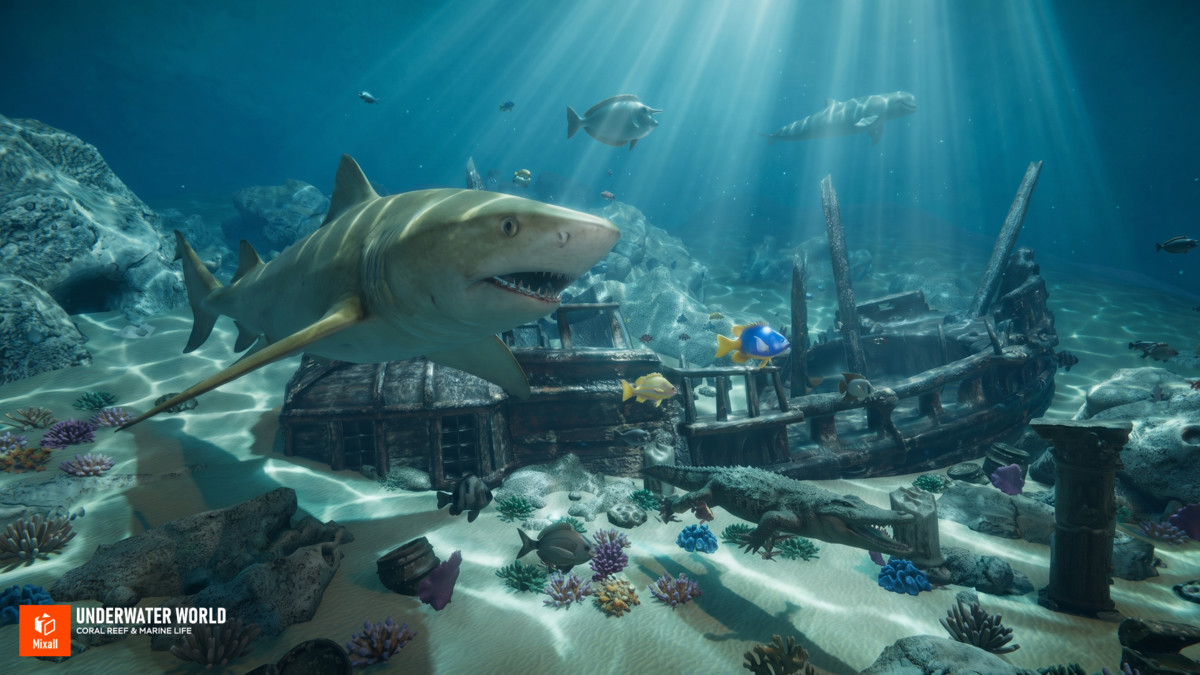 Underwater world - Coral Reef & Marine Life