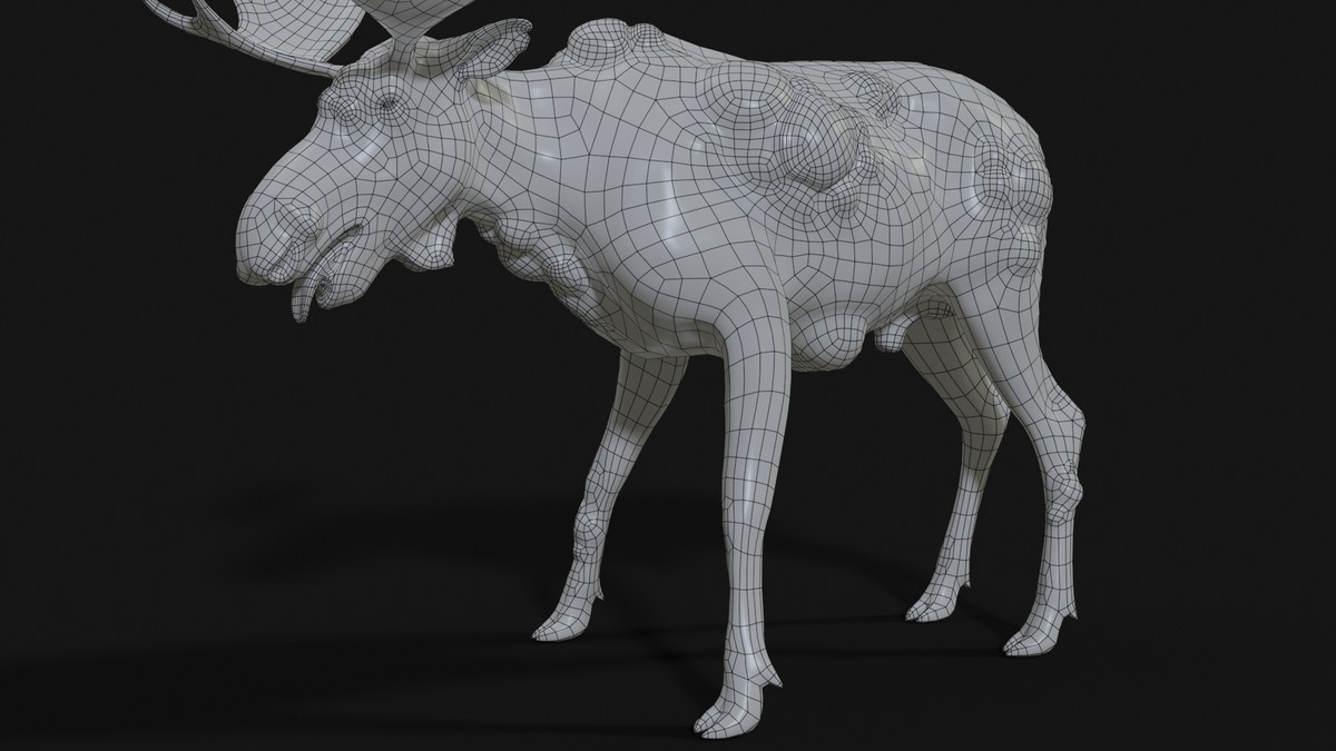 Rot Moose