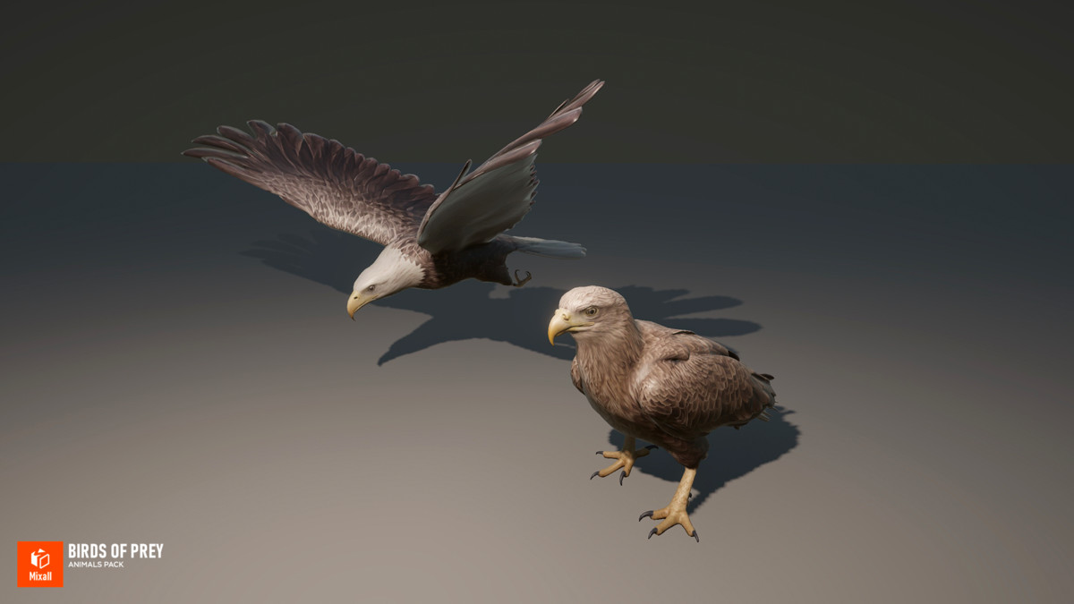 60 Birds - Full Animals Pack
