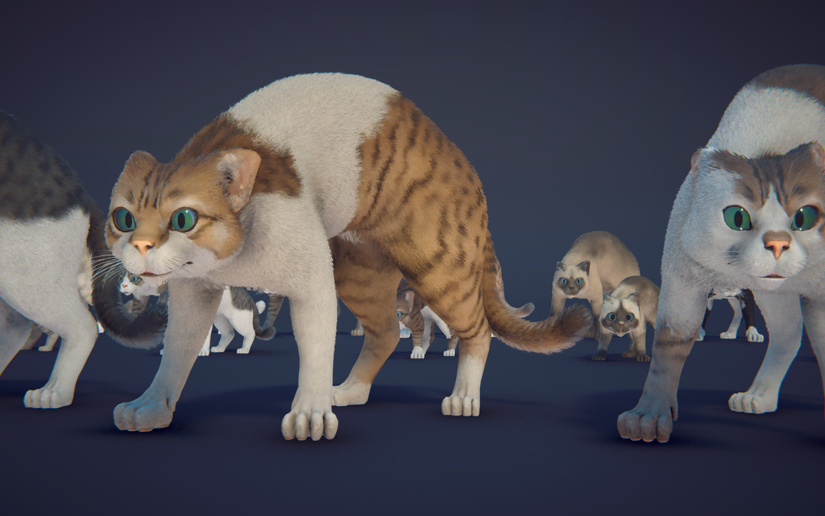 Milo the Cat