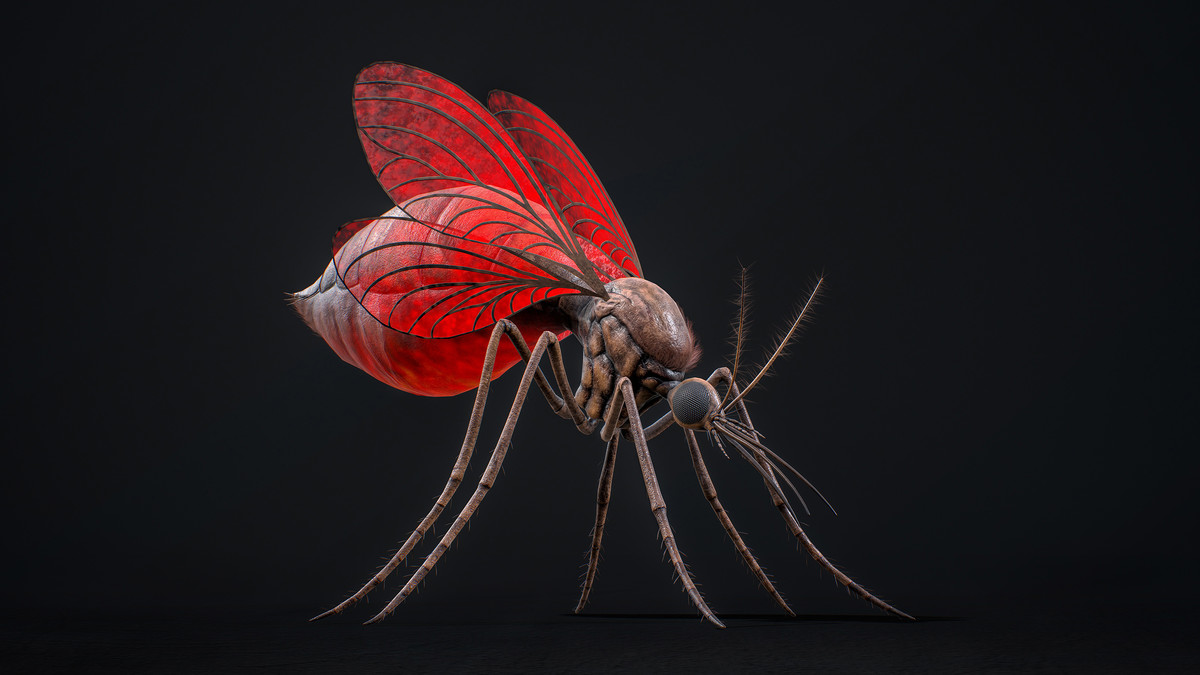 Mosquito Queen - Fantasy Poison Mosquitoes