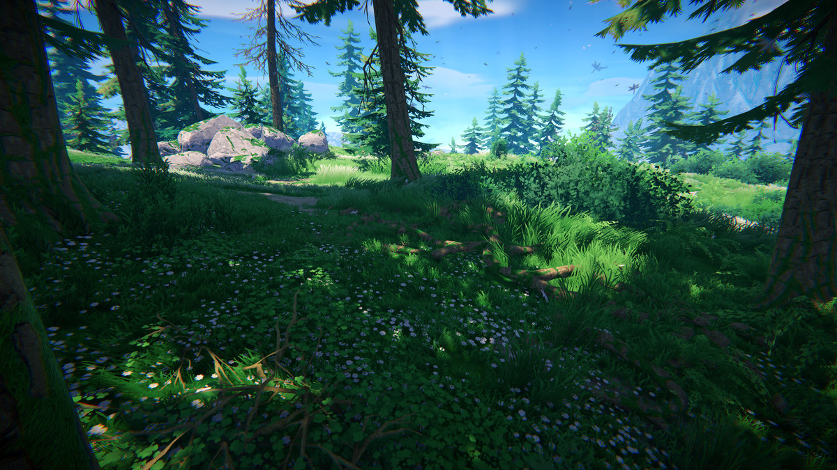 Adventure Nature Vol.7 Spruce Forest