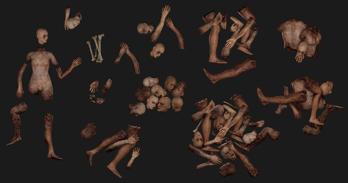 Human Body Parts