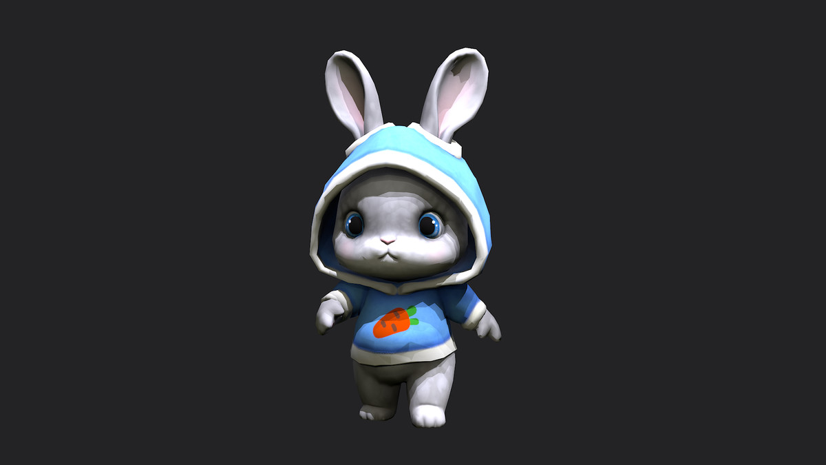 Bunny in hoodie