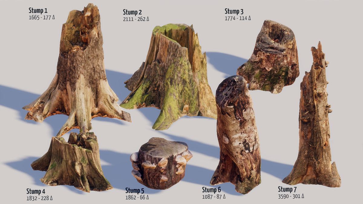 Mountain Forest Stumps