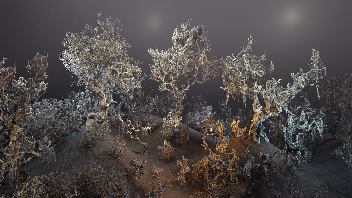 Decay trees