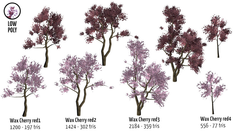 Orchard Trees 3d 樹木 Unity Asset Store