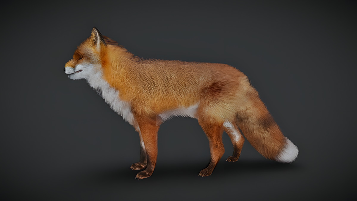 WILDPOLY - Animated Animals – Realistic Pack