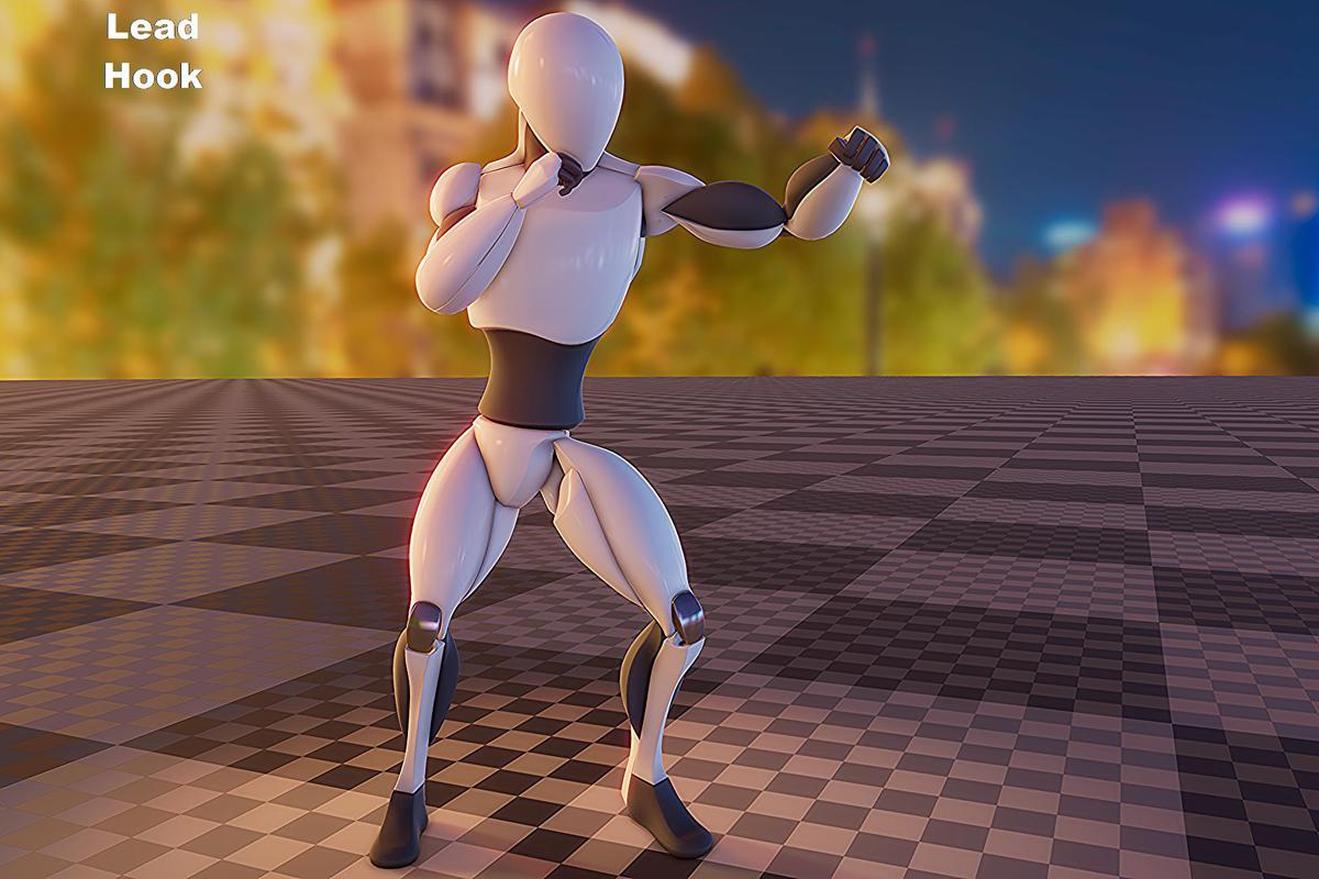 Boxing animation package
