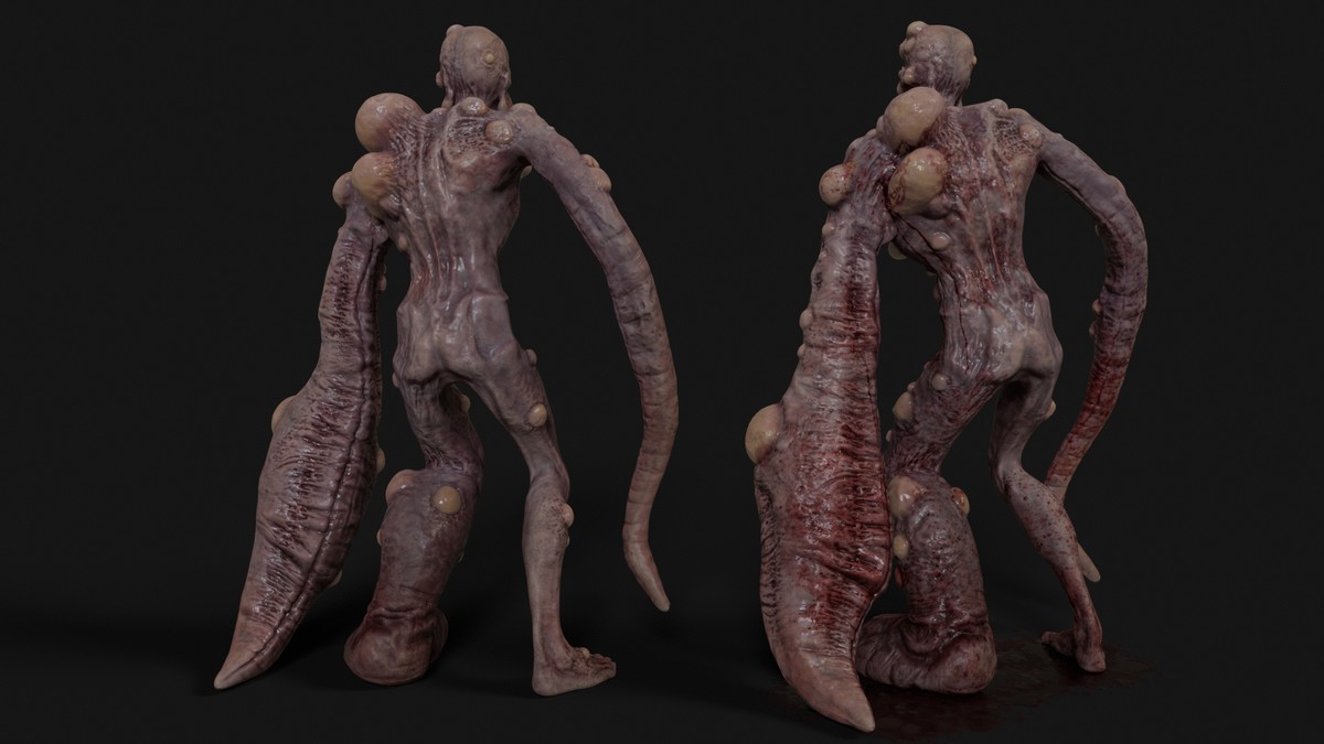 Asset Screenshot 5