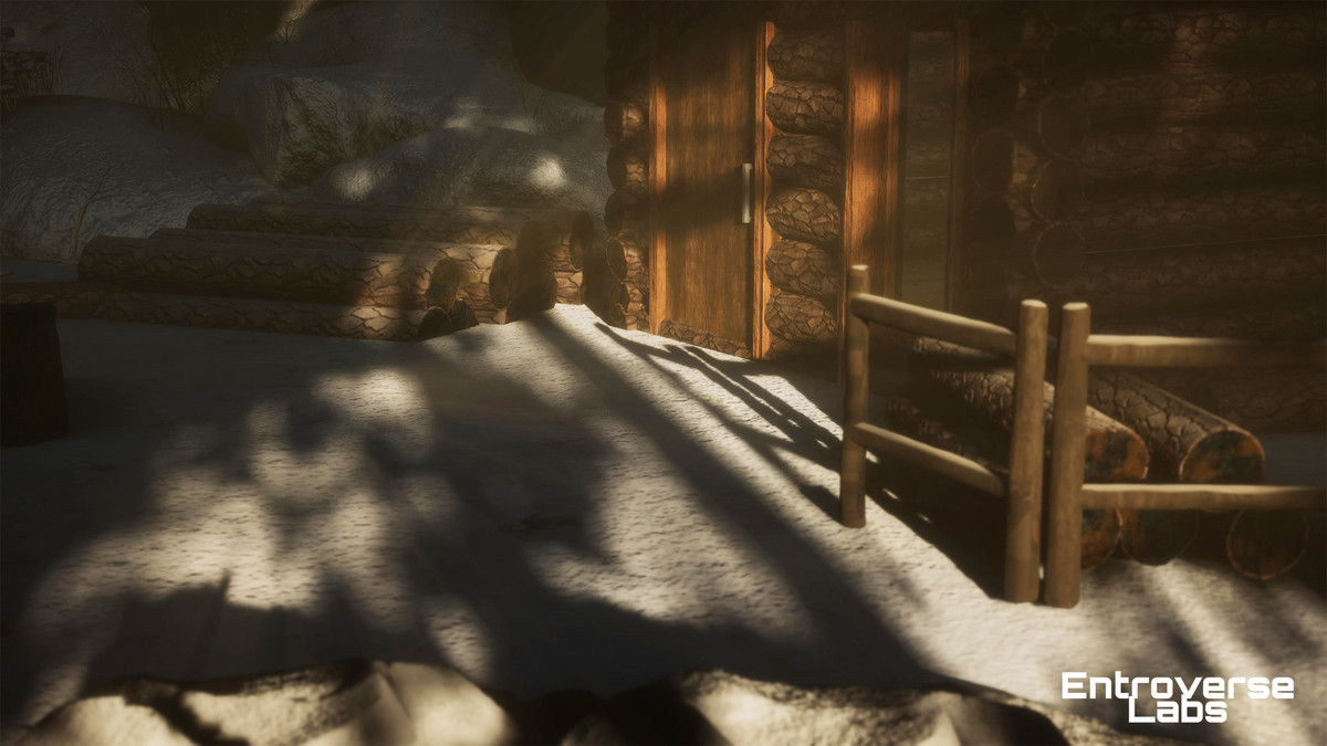 Taiga Biome Environment / Boreal Tundra Forest