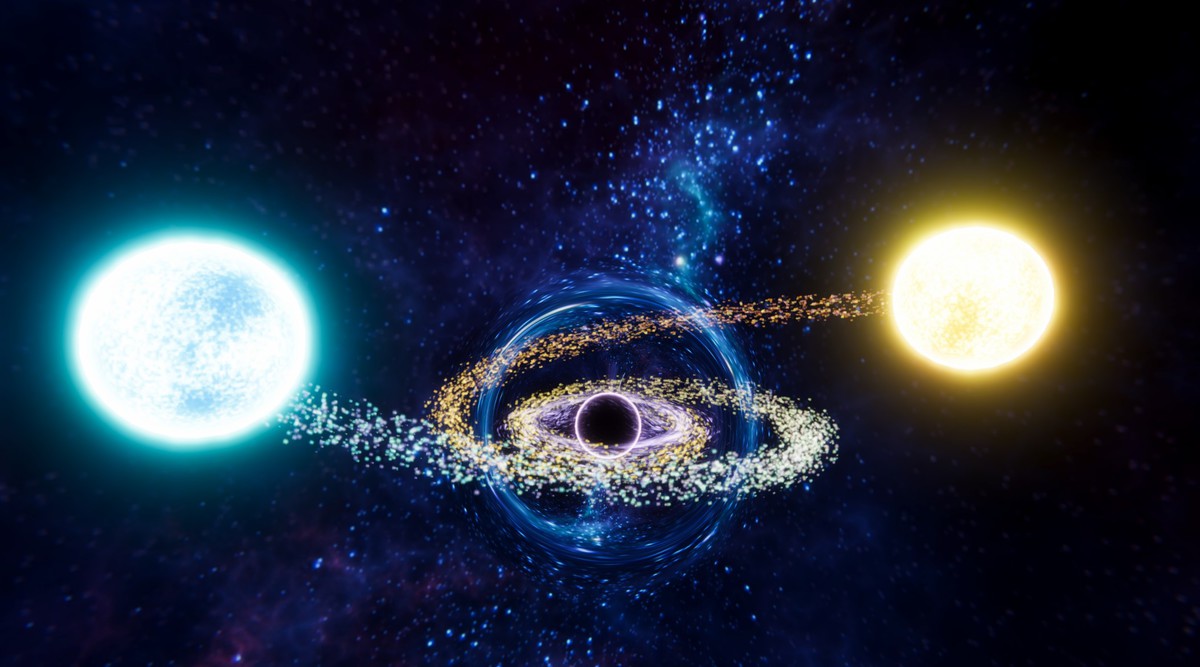 Black Hole Complex