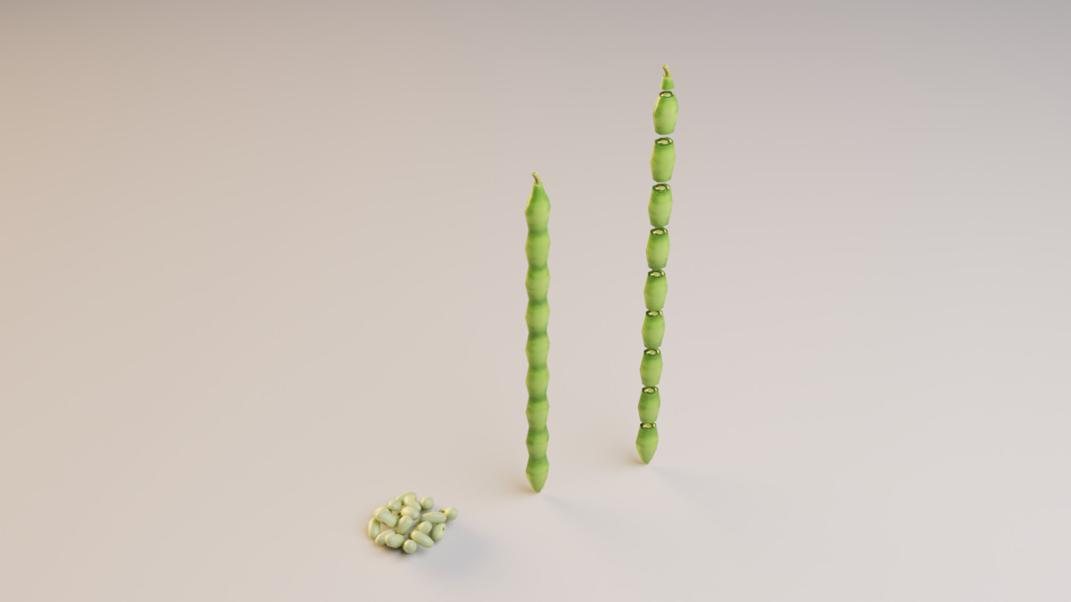 Stylized Asian Vegetable 3D Model Pack – Modular Low Poly Set