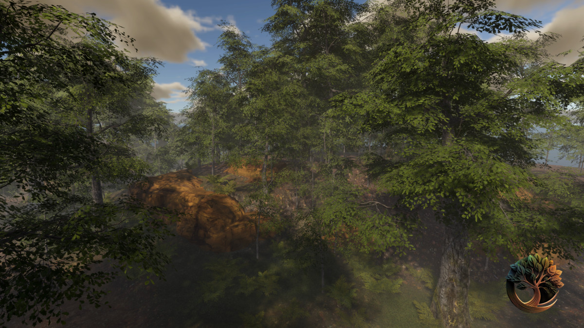 Broadleaf Forest