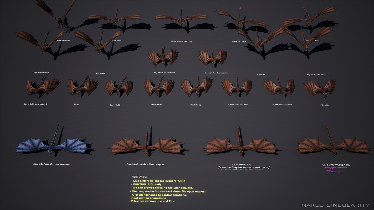 Wyvern Dragon Creature