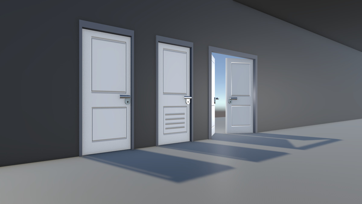 Modern Doors: Ready to open