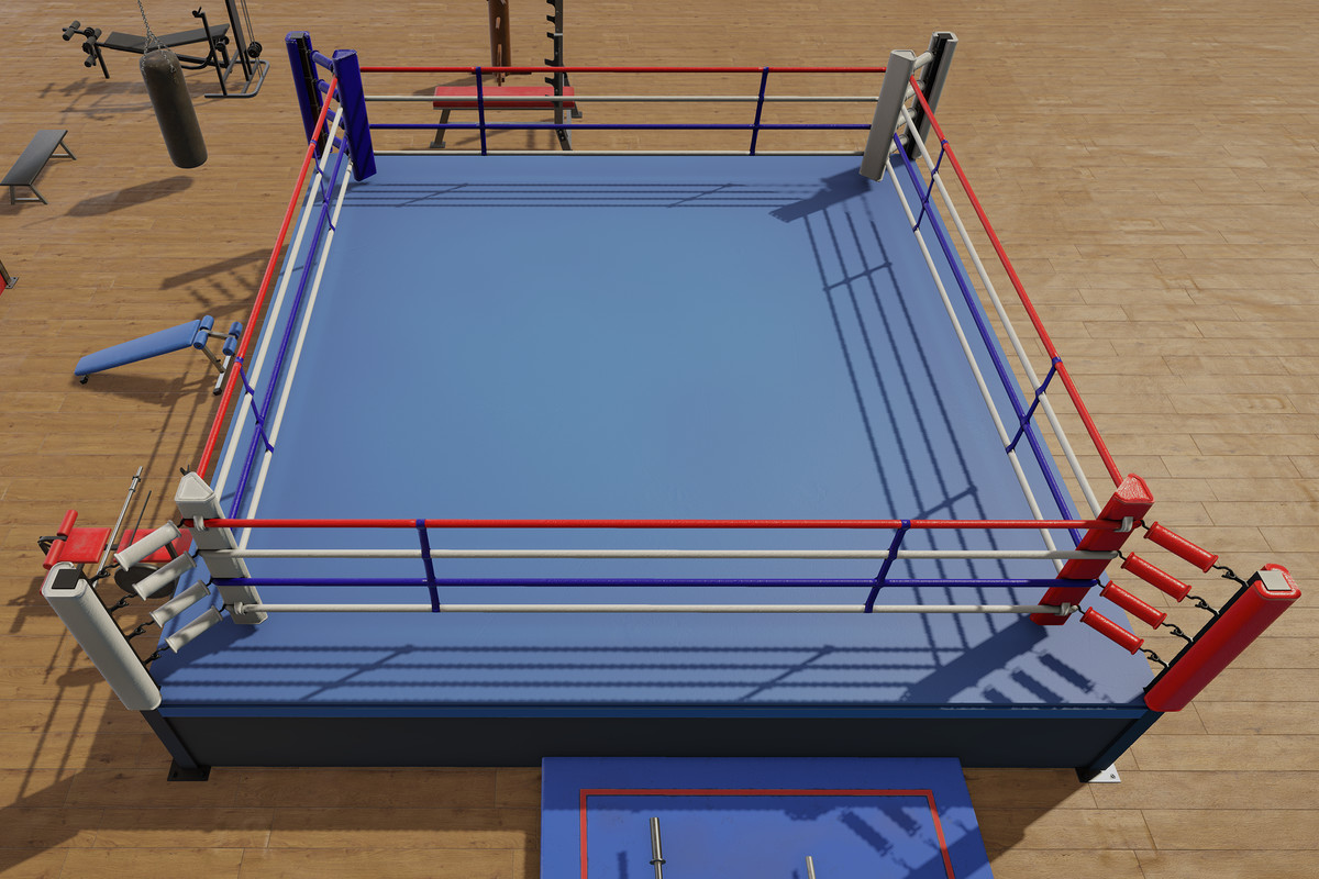 Boxing and Gym Equipment