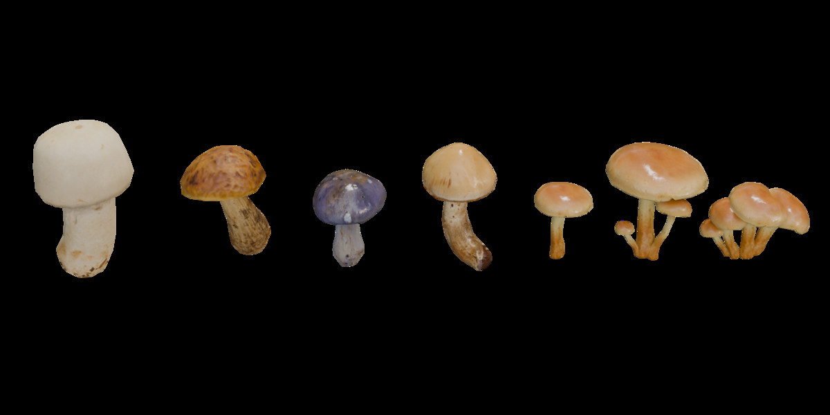 Mushrooms Bundle (62 Prefab + LOD)