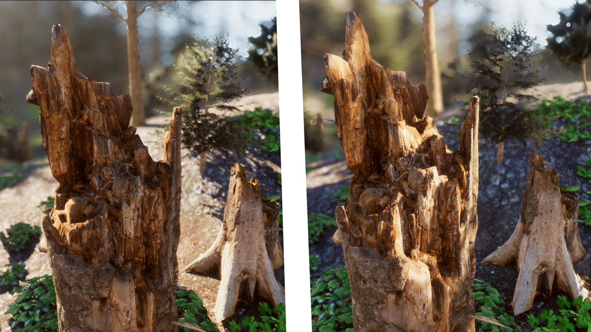 Mountain Forest Stumps