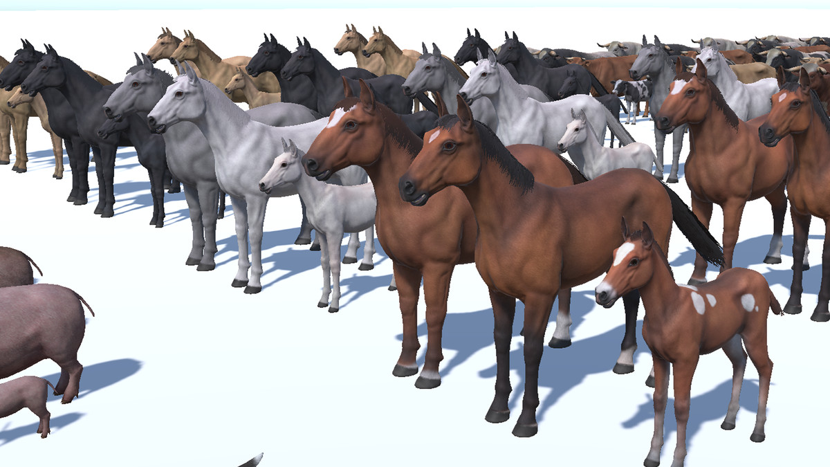 DOMESTIC ANIMAL PACK