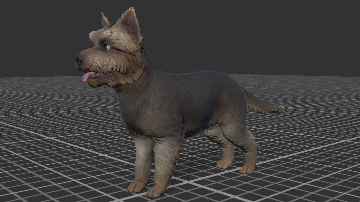 Dog - Yorkshire Terrier