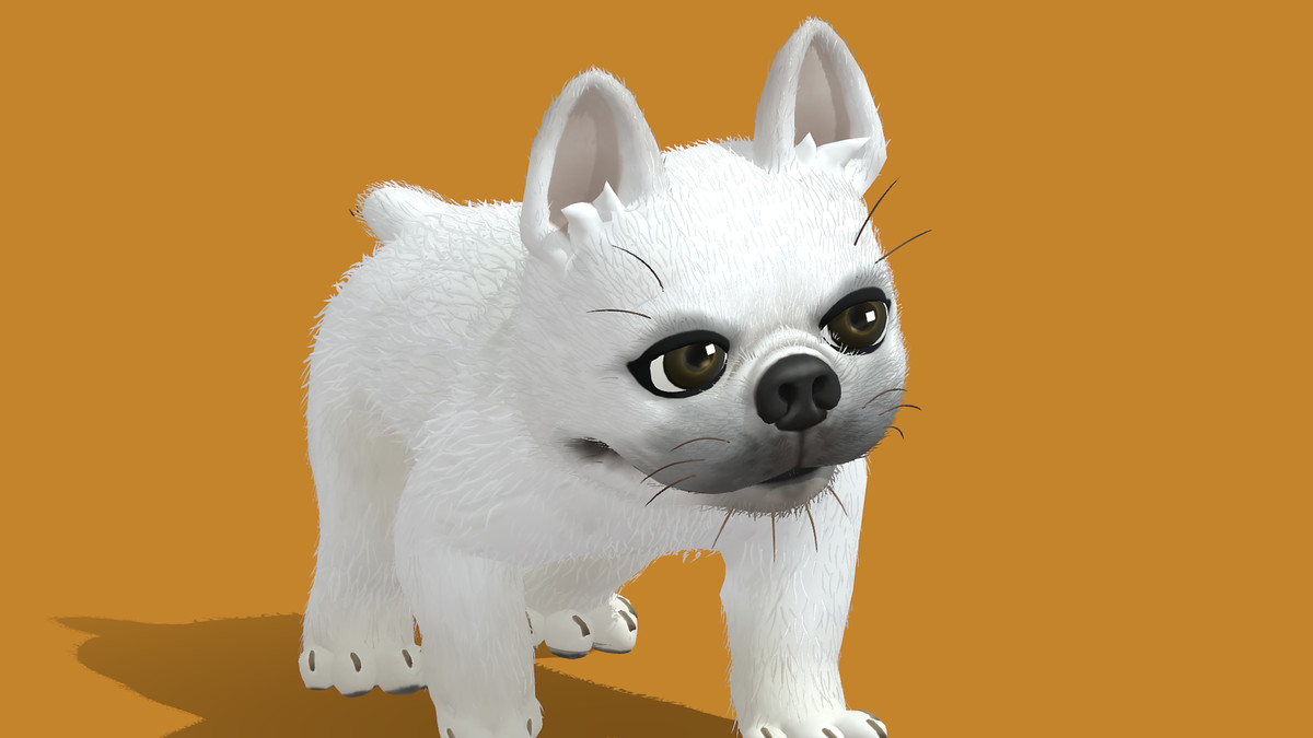 Cute Dog - French Bulldog